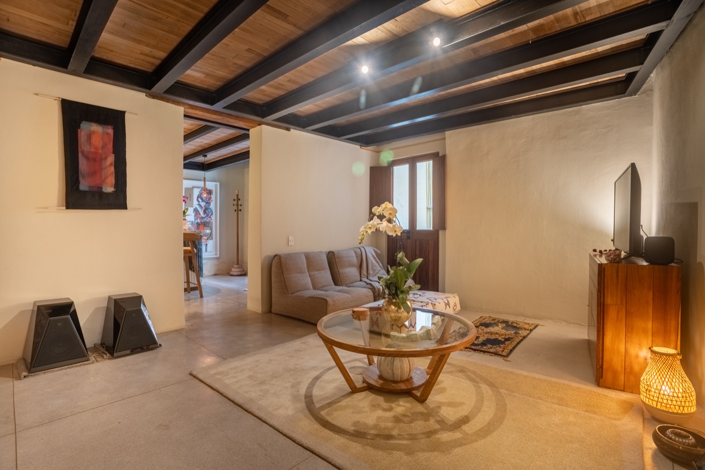 Design Apartment by Tana Karei — living room